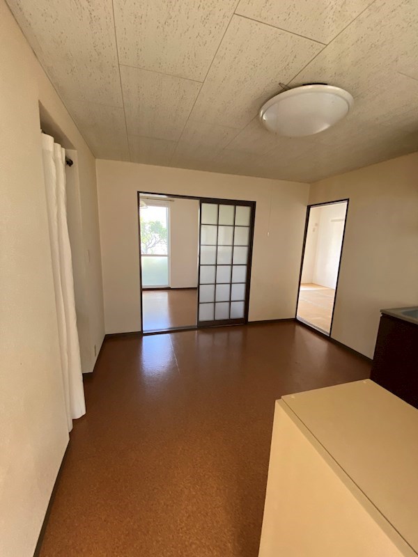 プリマヴェイラB その他5