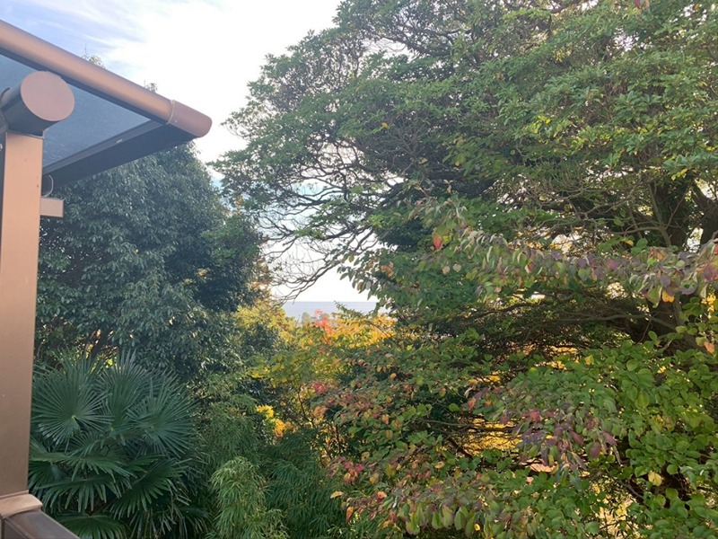 小田原市南町１丁目　貸家 その他1