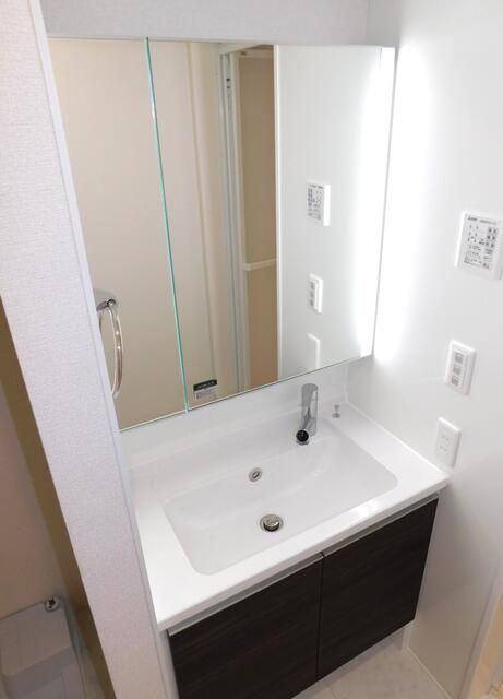 カメリア その他1