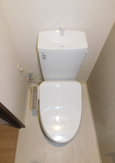 カメリア その他2