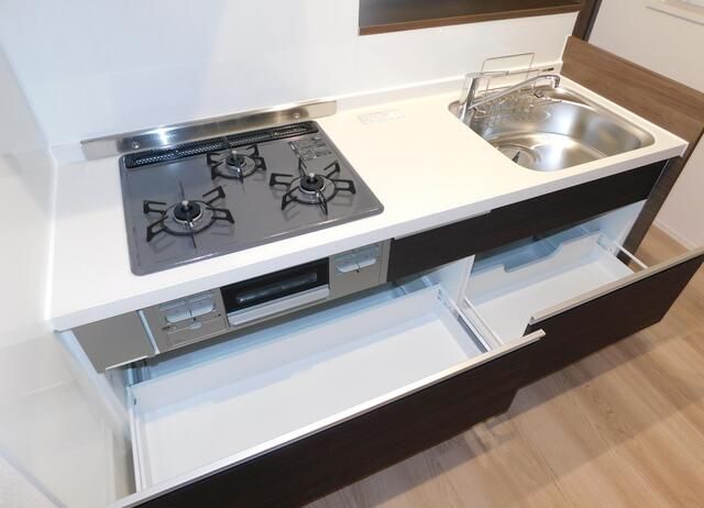 カメリア その他7