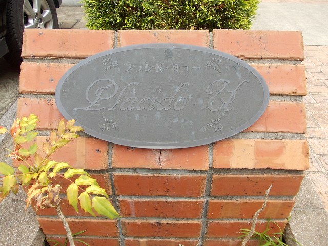 プラシド・ミュー その他1