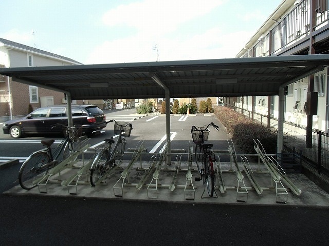 プラシド・ミュー その他4