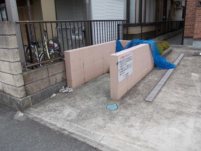 プラシド・ミュー その他5