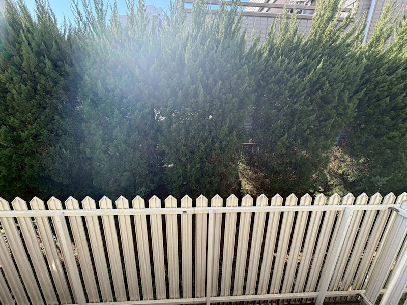 湘南台グリーンハイツ その他5