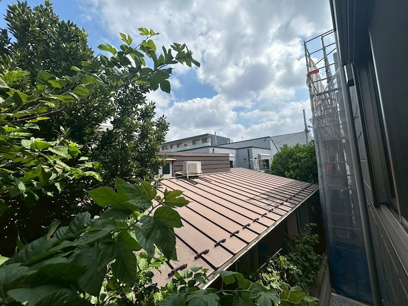 ESMERALDA SHONAN その他6