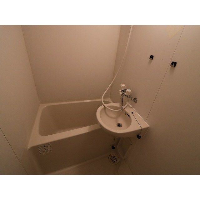 アムール子合際 その他11