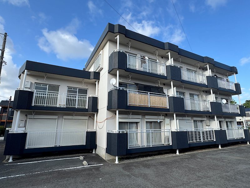 カネコハイツ 204号室 外観