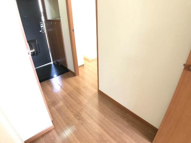 God　valley その他11