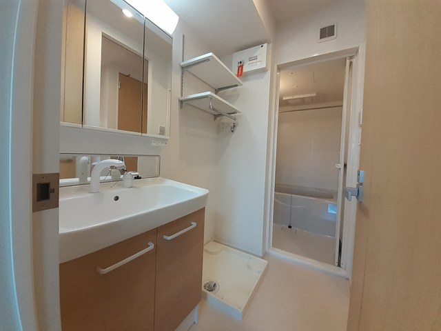 サンセール　クスノキ その他3