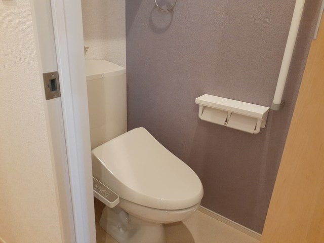 サンセール　クスノキ その他4