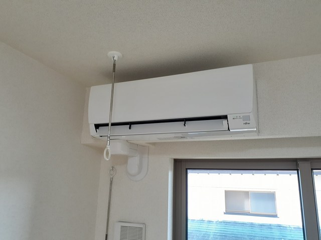 サンセール　クスノキ その他6