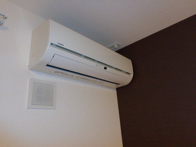 フォーマルハウト その他3