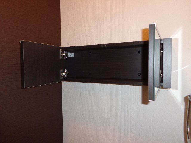 フォーマルハウト その他9