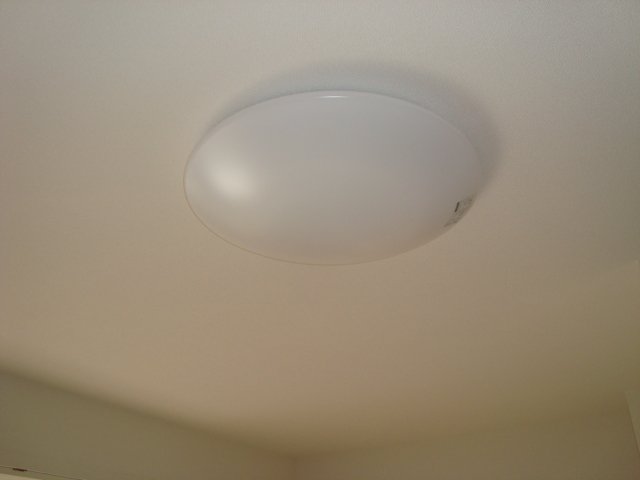 オリーヴ その他12