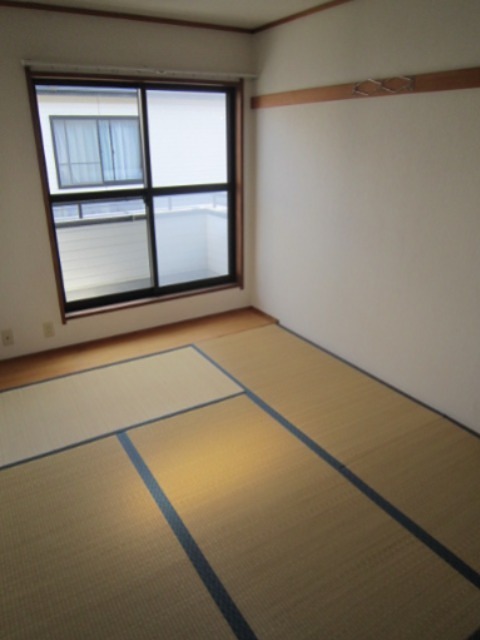 ドルフエハラD その他4