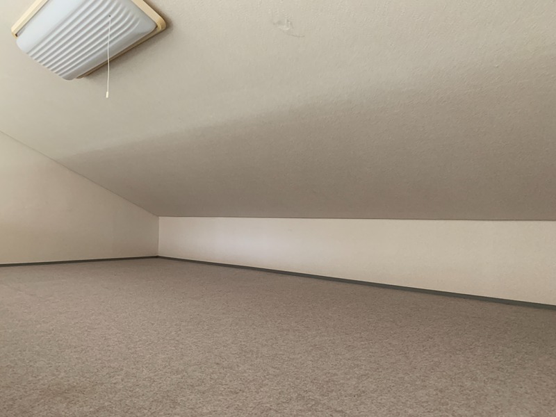 ドミール２１ その他8