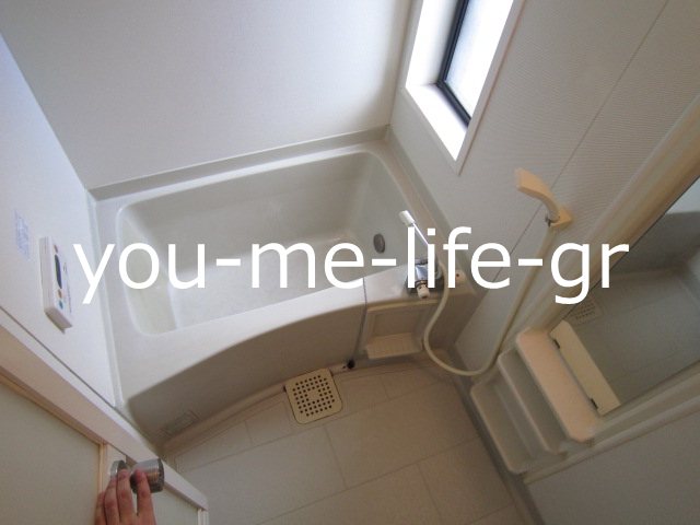 ドルフエハラD その他9