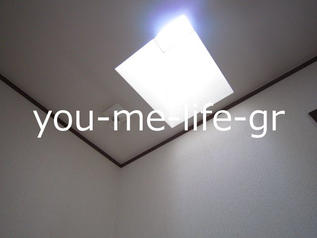 ドルフエハラD その他10