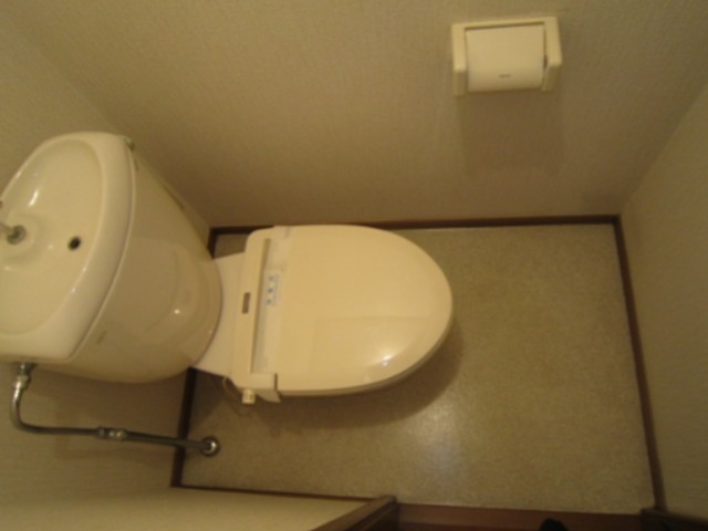 ドルフエハラD その他3