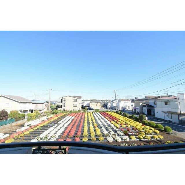 メイゾン善行 その他外観1