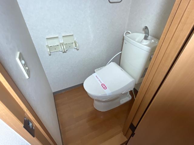 ルピナス その他1