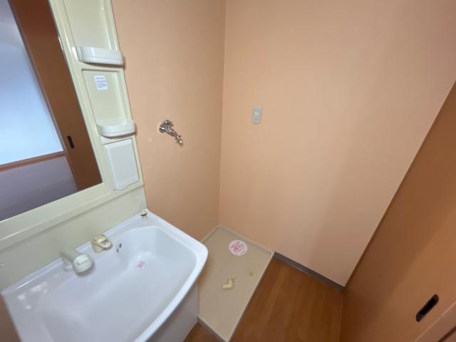 ルピナス その他6