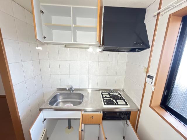 ルピナス その他14