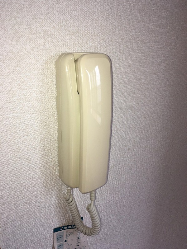 ローズビラタナカ その他5