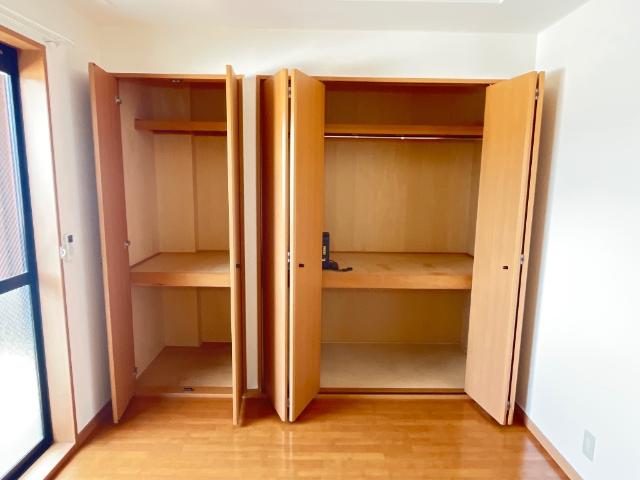 ルピナス その他6