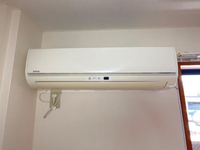 ルピナス その他13