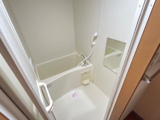 ルピナス 風呂画像