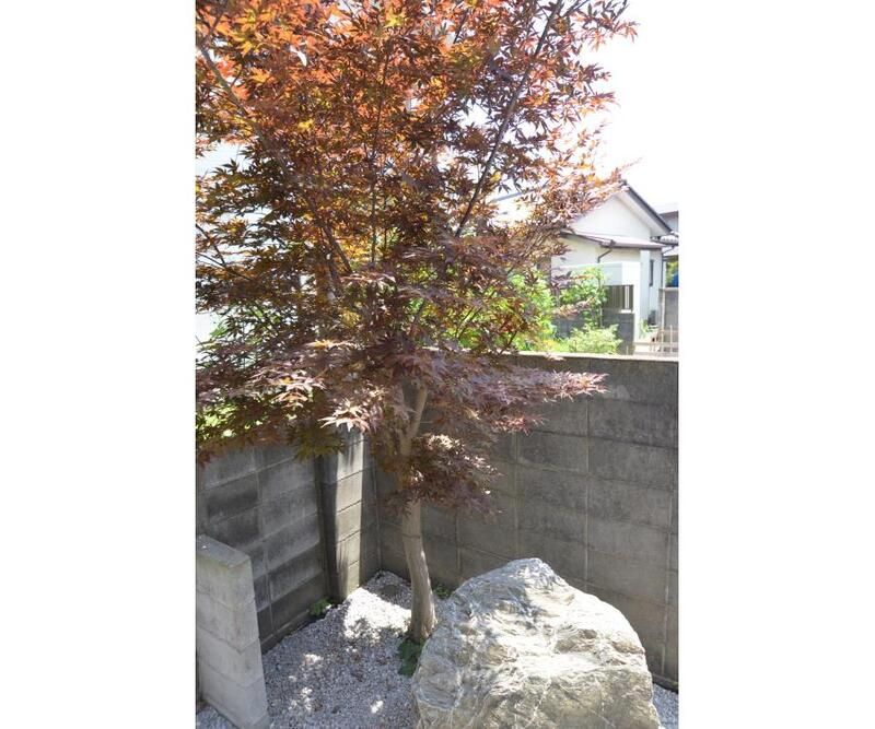 グリーンバード湘南 その他外観3