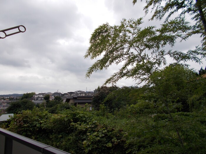 カサブランカ その他1