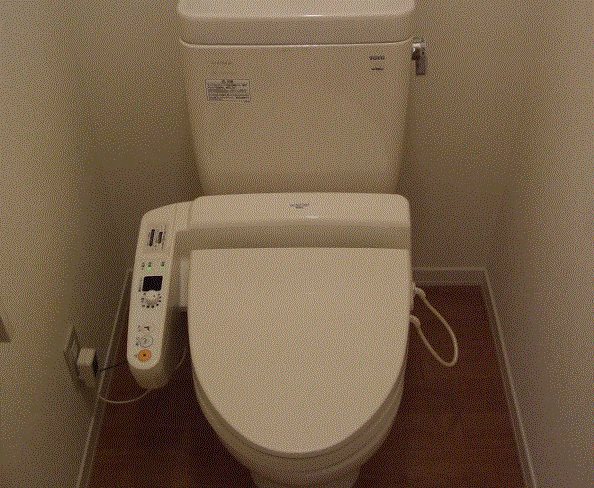 スターライト その他2