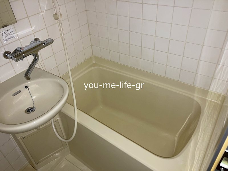 ライオンズプラザ平塚 その他2