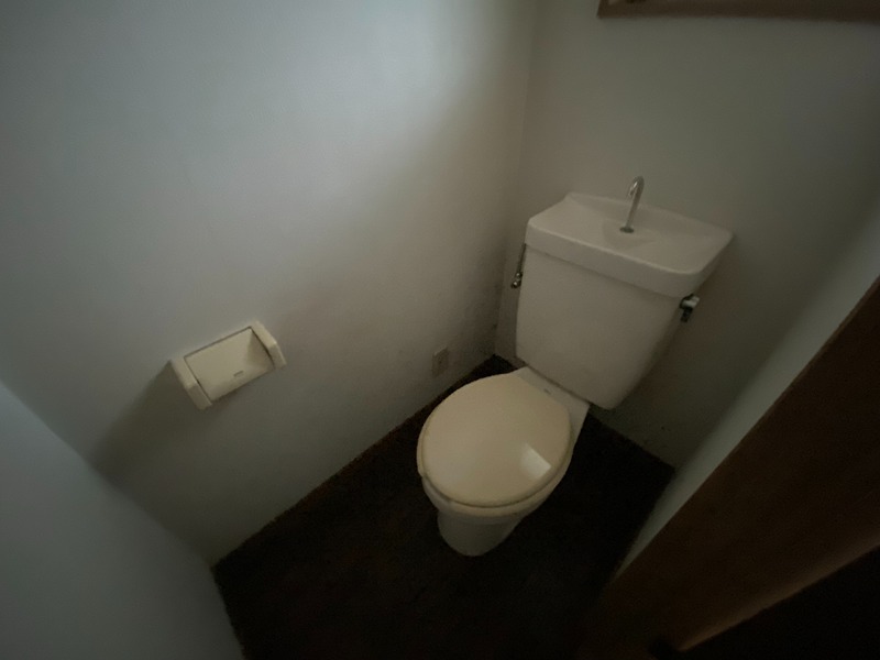 フレグランスルリ その他1