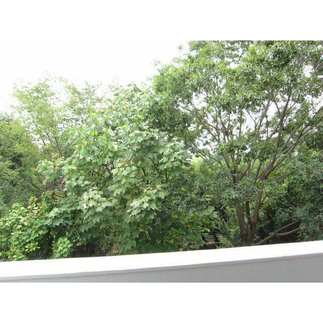 サンアーク元町 その他外観1