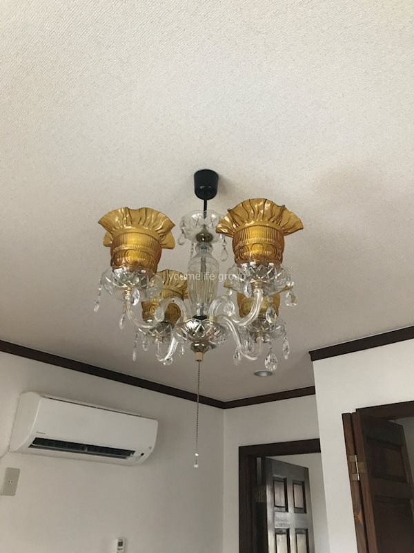 ARIEL ENA その他9