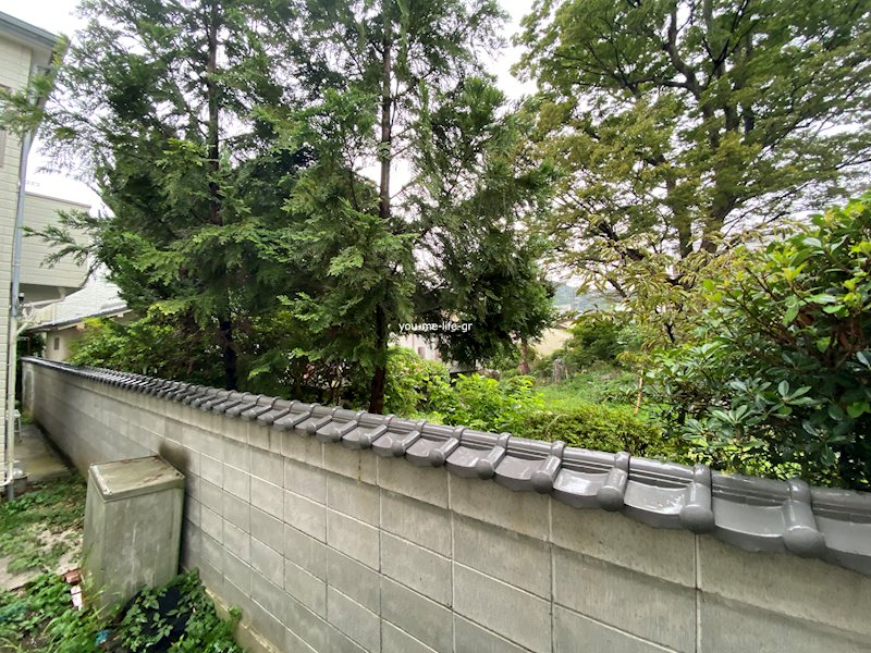 フレグランスルリ その他4