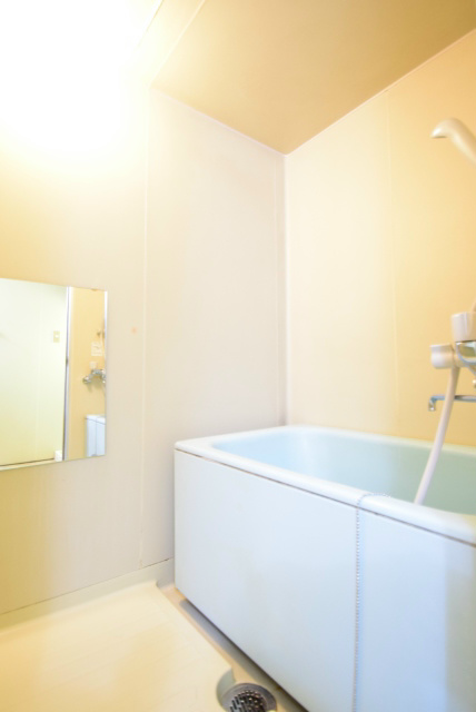 テレパレス伊勢原３号棟 風呂画像