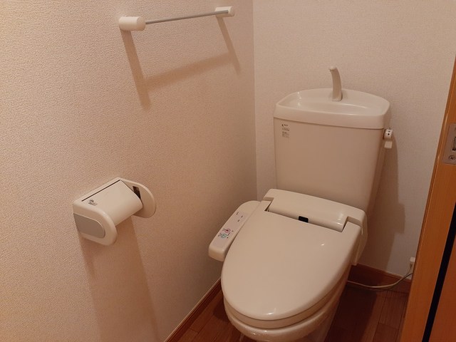 パーシモンⅡ その他1