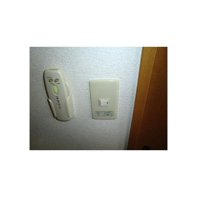 アンプルールフェール Plage その他3