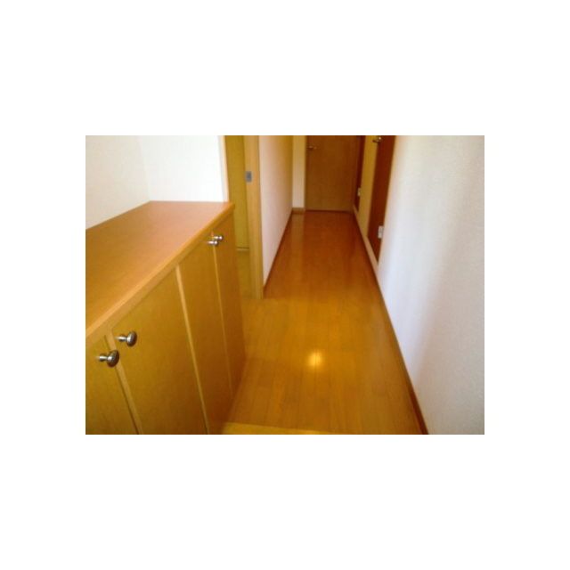 アンプルールフェール Plage その他10