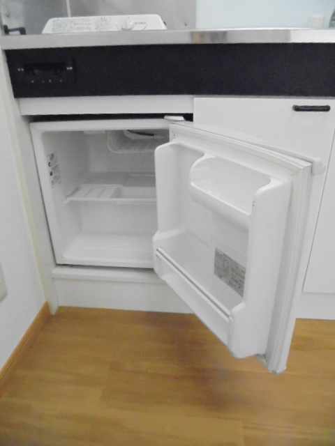 ミニヨンほたる その他5