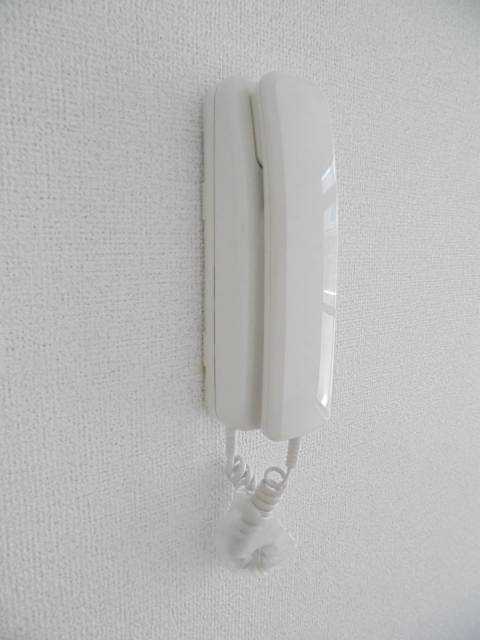 ミニヨンほたる その他6