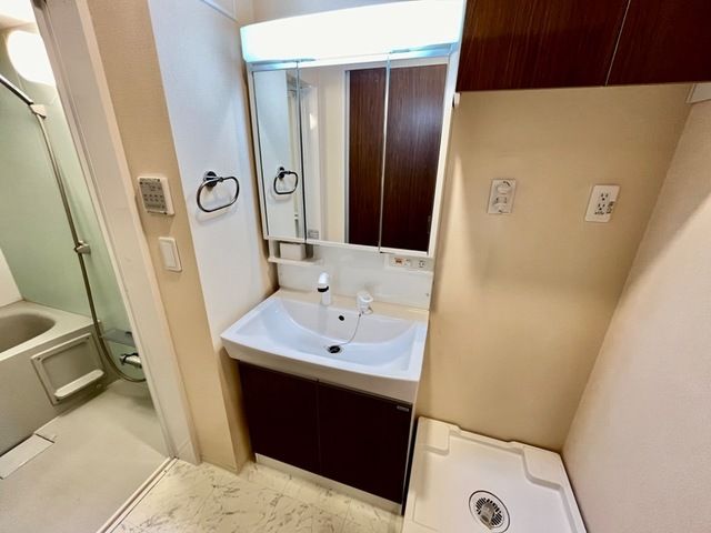 カーロ　オルテンシア　caroortensia その他1