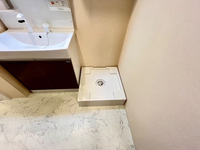 カーロ　オルテンシア　caroortensia その他9