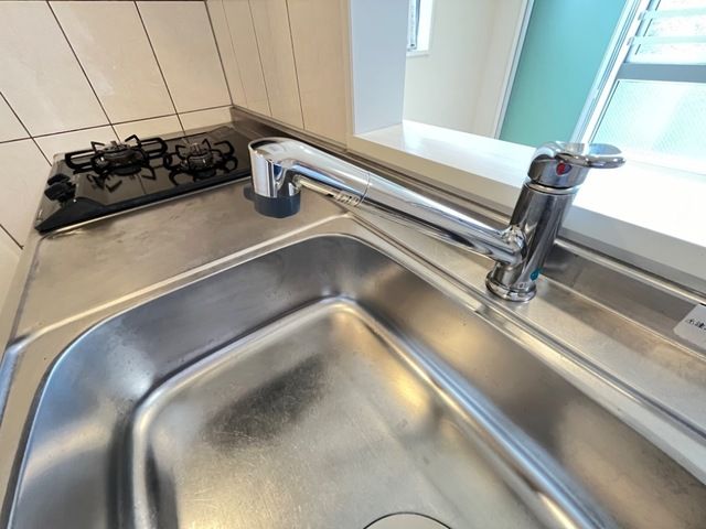 カーロ　オルテンシア　caroortensia その他14