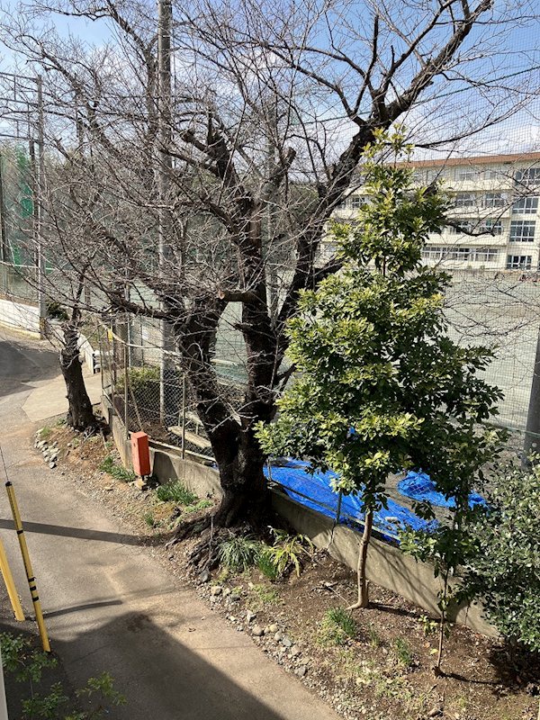 サンヒルズ峯尾Ⅰ その他外観1